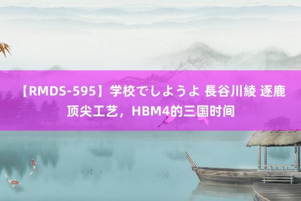 【RMDS-595】学校でしようよ 長谷川綾 逐鹿顶尖工艺，HBM4的三国时间