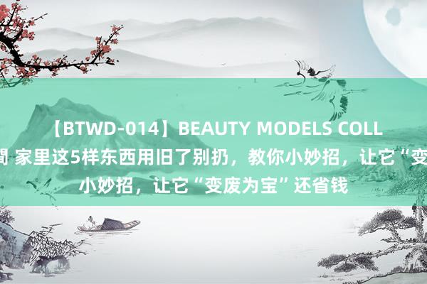 【BTWD-014】BEAUTY MODELS COLLECTION 2 4時間 家里这5样东西用旧了别扔，教你小妙招，让它“变废为宝”还省钱