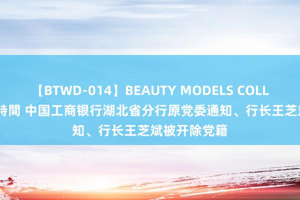 【BTWD-014】BEAUTY MODELS COLLECTION 2 4時間 中国工商银行湖北省分行原党委通知、行长王芝斌被开除党籍