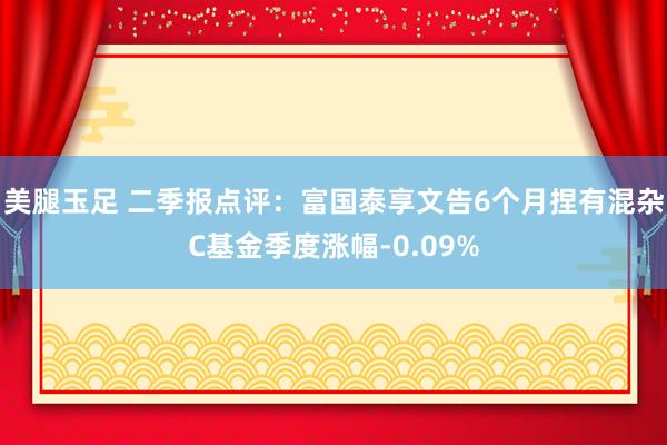 美腿玉足 二季报点评：富国泰享文告6个月捏有混杂C基金季度涨幅-0.09%