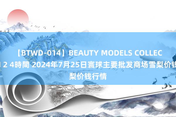 【BTWD-014】BEAUTY MODELS COLLECTION 2 4時間 2024年7月25日寰球主要批发商场雪梨价钱行情