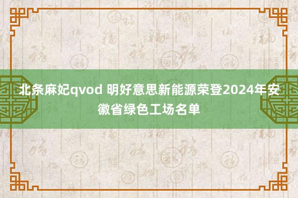 北条麻妃qvod 明好意思新能源荣登2024年安徽省绿色工场名单