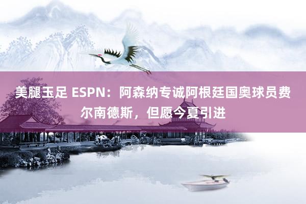 美腿玉足 ESPN：阿森纳专诚阿根廷国奥球员费尔南德斯，但愿今夏引进