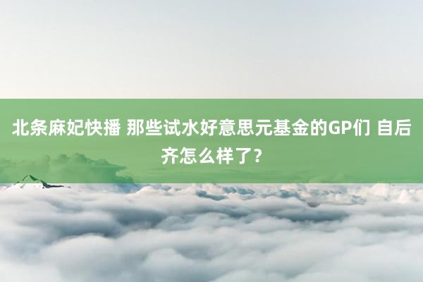 北条麻妃快播 那些试水好意思元基金的GP们 自后齐怎么样了？