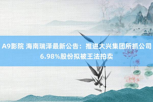 A9影院 海南瑞泽最新公告：推进大兴集团所抓公司6.98%股份拟被王法拍卖