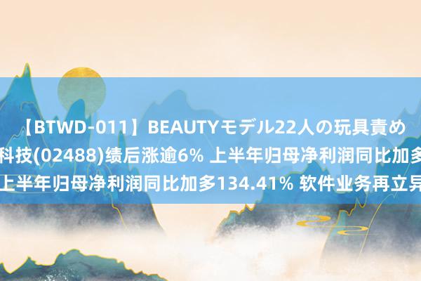 【BTWD-011】BEAUTYモデル22人の玩具責め4時間 港股异动 | 元征科技(02488)绩后涨逾6% 上半年归母净利润同比加多134.41% 软件业务再立异高