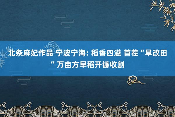 北条麻妃作品 宁波宁海: 稻香四溢 首茬“旱改田”万亩方早稻开镰收割