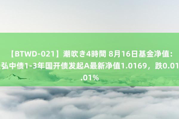 【BTWD-021】潮吹き4時間 8月16日基金净值：天弘中债1-3年国开债发起A最新净值1.0169，跌0.01%