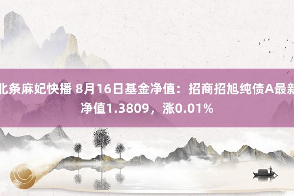 北条麻妃快播 8月16日基金净值：招商招旭纯债A最新净值1.3809，涨0.01%