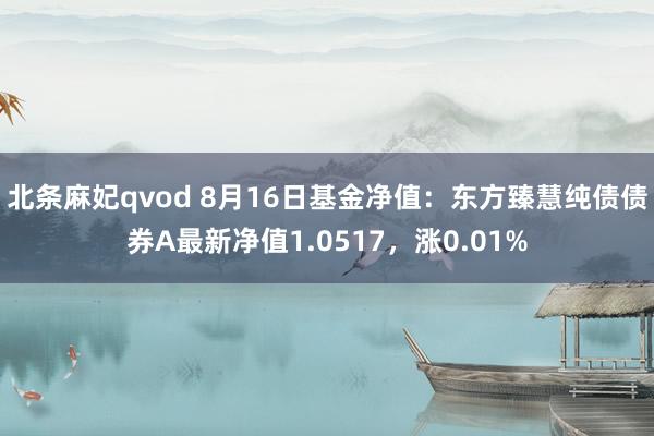 北条麻妃qvod 8月16日基金净值：东方臻慧纯债债券A最新净值1.0517，涨0.01%