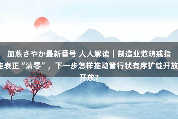 加藤さやか最新番号 人人解读｜制造业范畴戒指圭表正“清零”，下一步怎样推动管行状有序扩绽开放？