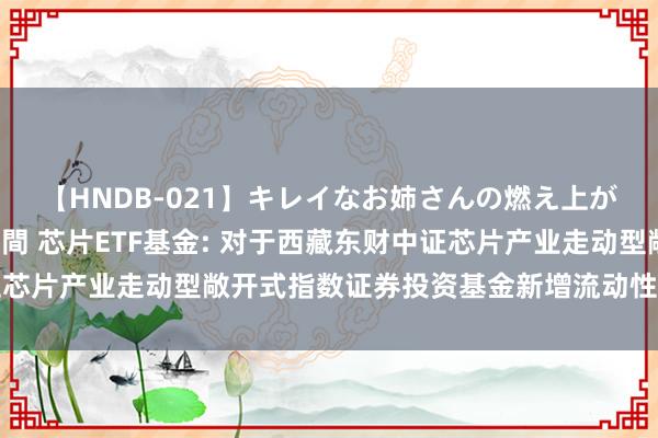 【HNDB-021】キレイなお姉さんの燃え上がる本物中出し交尾4時間 芯片ETF基金: 对于西藏东财中证芯片产业走动型敞开式指数证券投资基金新增流动性就业商的公告