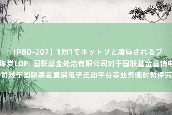 【PBD-207】1対1でネットリと凌辱されるプレミア女優たち 8時間 煤炭LOF: 国联基金处治有限公司对于国联基金直销电子走动平台等业务临时暂停劳动的公告