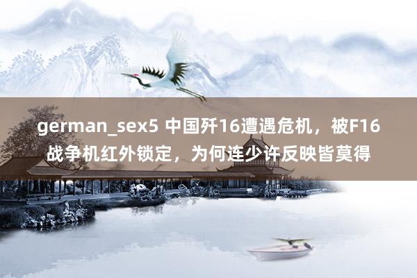 german_sex5 中国歼16遭遇危机，被F16战争机红外锁定，为何连少许反映皆莫得