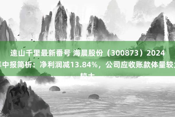 遠山千里最新番号 海晨股份（300873）2024年中报简析：净利润减13.84%，公司应收账款体量较大