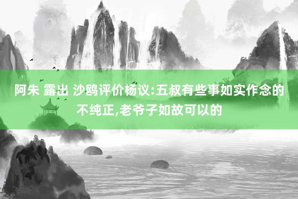 阿朱 露出 沙鸥评价杨议:五叔有些事如实作念的不纯正，老爷子如故可以的