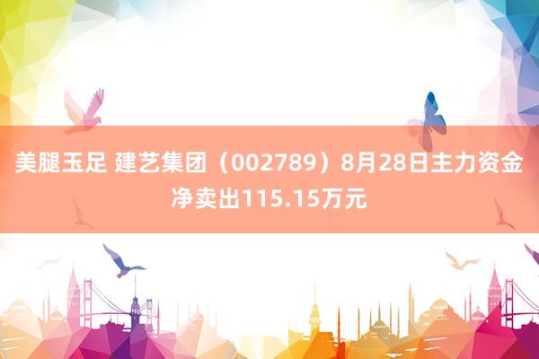 美腿玉足 建艺集团（002789）8月28日主力资金净卖出115.15万元