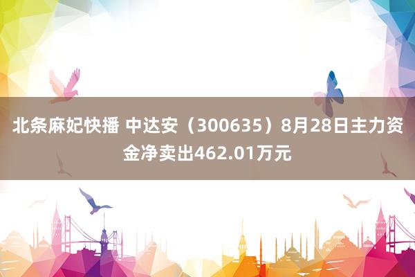 北条麻妃快播 中达安（300635）8月28日主力资金净卖出462.01万元