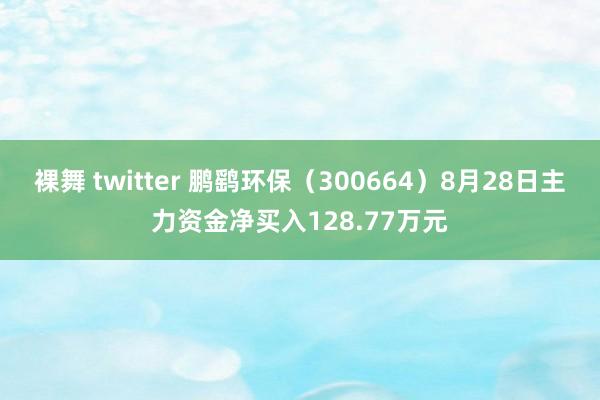 裸舞 twitter 鹏鹞环保（300664）8月28日主力资金净买入128.77万元