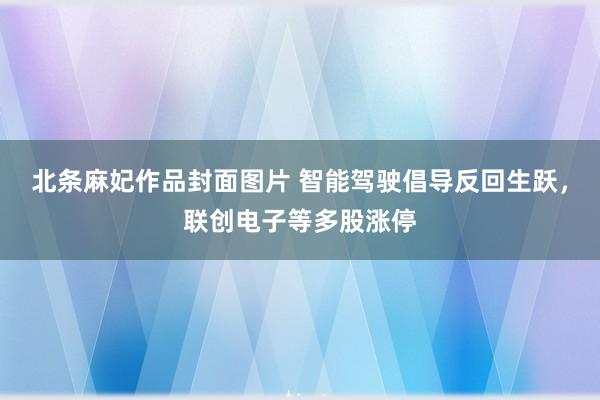 北条麻妃作品封面图片 智能驾驶倡导反回生跃，联创电子等多股涨停