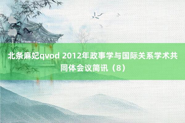 北条麻妃qvod 2012年政事学与国际关系学术共同体会议简讯（8）