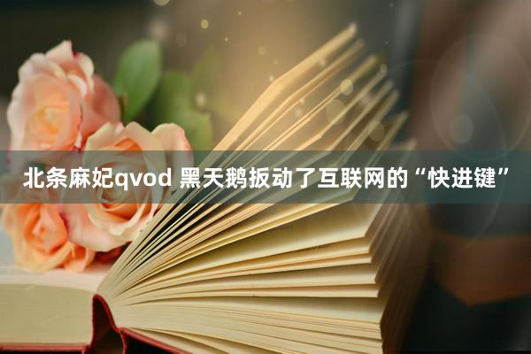 北条麻妃qvod 黑天鹅扳动了互联网的“快进键”