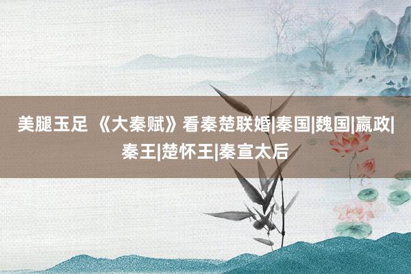 美腿玉足 《大秦赋》看秦楚联婚|秦国|魏国|嬴政|秦王|楚怀王|秦宣太后