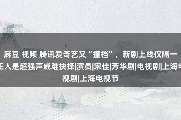 麻豆 视频 腾讯爱奇艺又“撞档”，新剧上线仅隔一天，王人是超强声威难抉择|演员|宋佳|芳华剧|电视剧|上海电视节