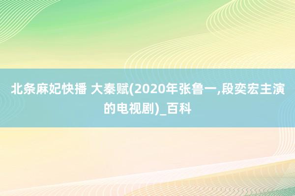 北条麻妃快播 大秦赋(2020年张鲁一，段奕宏主演的电视剧)_百科