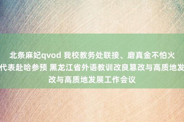 北条麻妃qvod 我校教务处联接、磨真金不怕火与获奖学生代表赴哈参预 黑龙江省外语教训改良篡改与高质地发展工作会议