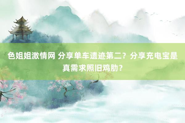 色姐姐激情网 分享单车遗迹第二？分享充电宝是真需求照旧鸡肋？