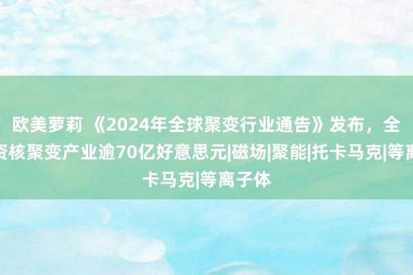 欧美萝莉 《2024年全球聚变行业通告》发布，全球投资核聚变产业逾70亿好意思元|磁场|聚能|托卡马克|等离子体