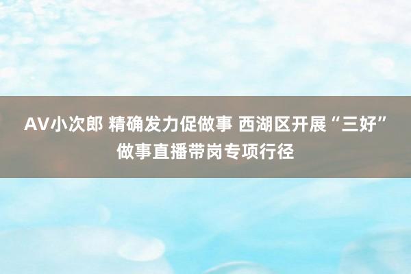 AV小次郎 精确发力促做事 西湖区开展“三好”做事直播带岗专项行径