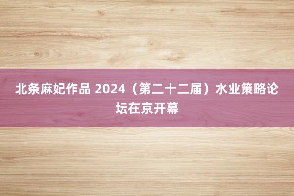 北条麻妃作品 2024（第二十二届）水业策略论坛在京开幕