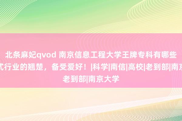 北条麻妃qvod 南京信息工程大学王牌专科有哪些？形式行业的翘楚，备受爱好！|科学|南信|高校|老到部|南京大学