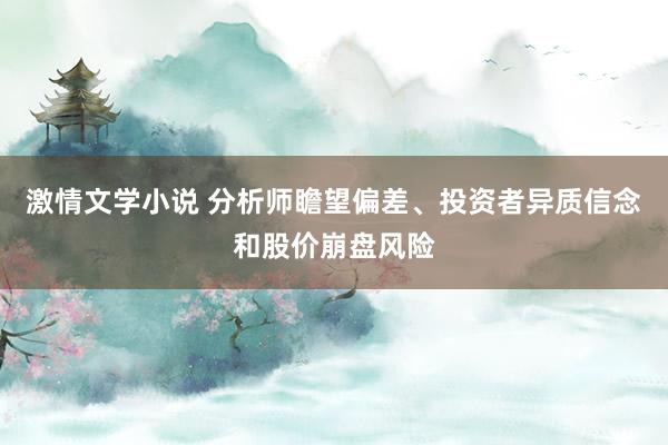 激情文学小说 分析师瞻望偏差、投资者异质信念和股价崩盘风险