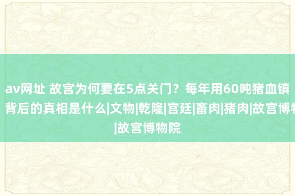 av网址 故宫为何要在5点关门？每年用60吨猪血镇邪？背后的真相是什么|文物|乾隆|宫廷|畜肉|猪肉|故宫博物院