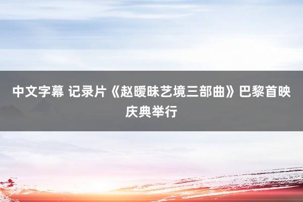 中文字幕 记录片《赵暧昧艺境三部曲》巴黎首映庆典举行