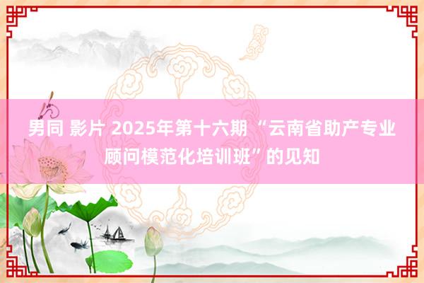 男同 影片 2025年第十六期 “云南省助产专业顾问模范化培训班”的见知